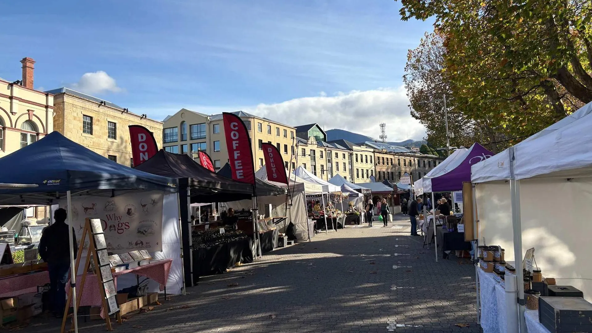 Comfy Apartment With Carpark 2 Minutes To Cbd Hobart Austrália